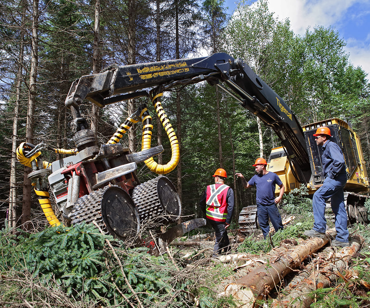 ForêtCompétences