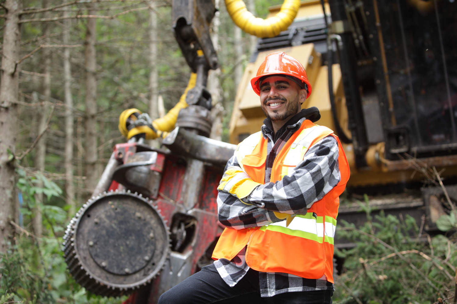 Image - ForêtCompétences