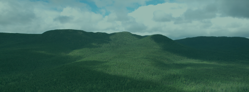 Colloque annuel - ForêtCompétences