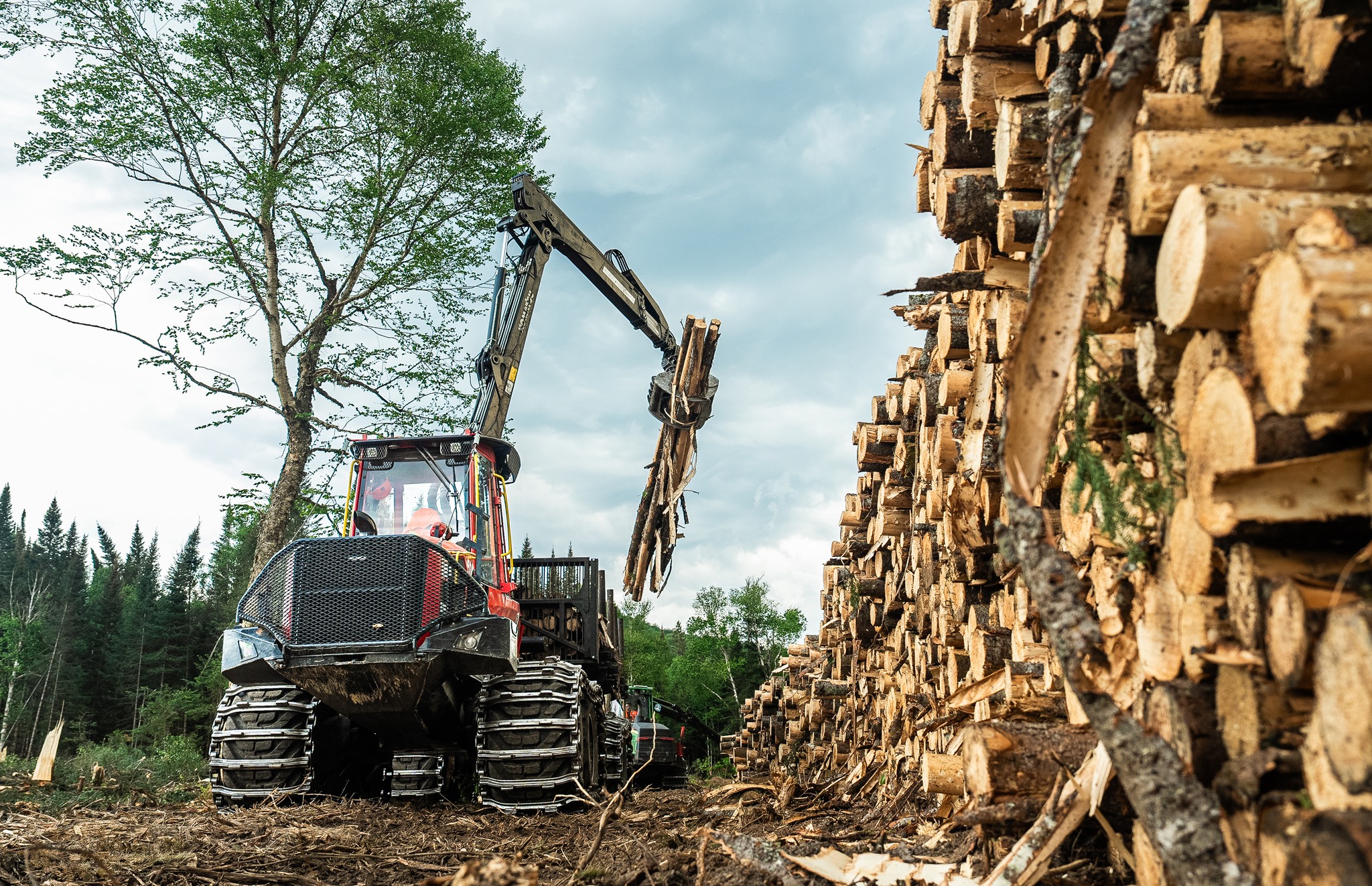 ForêtCompétences