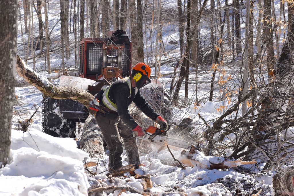 ForêtCompétences