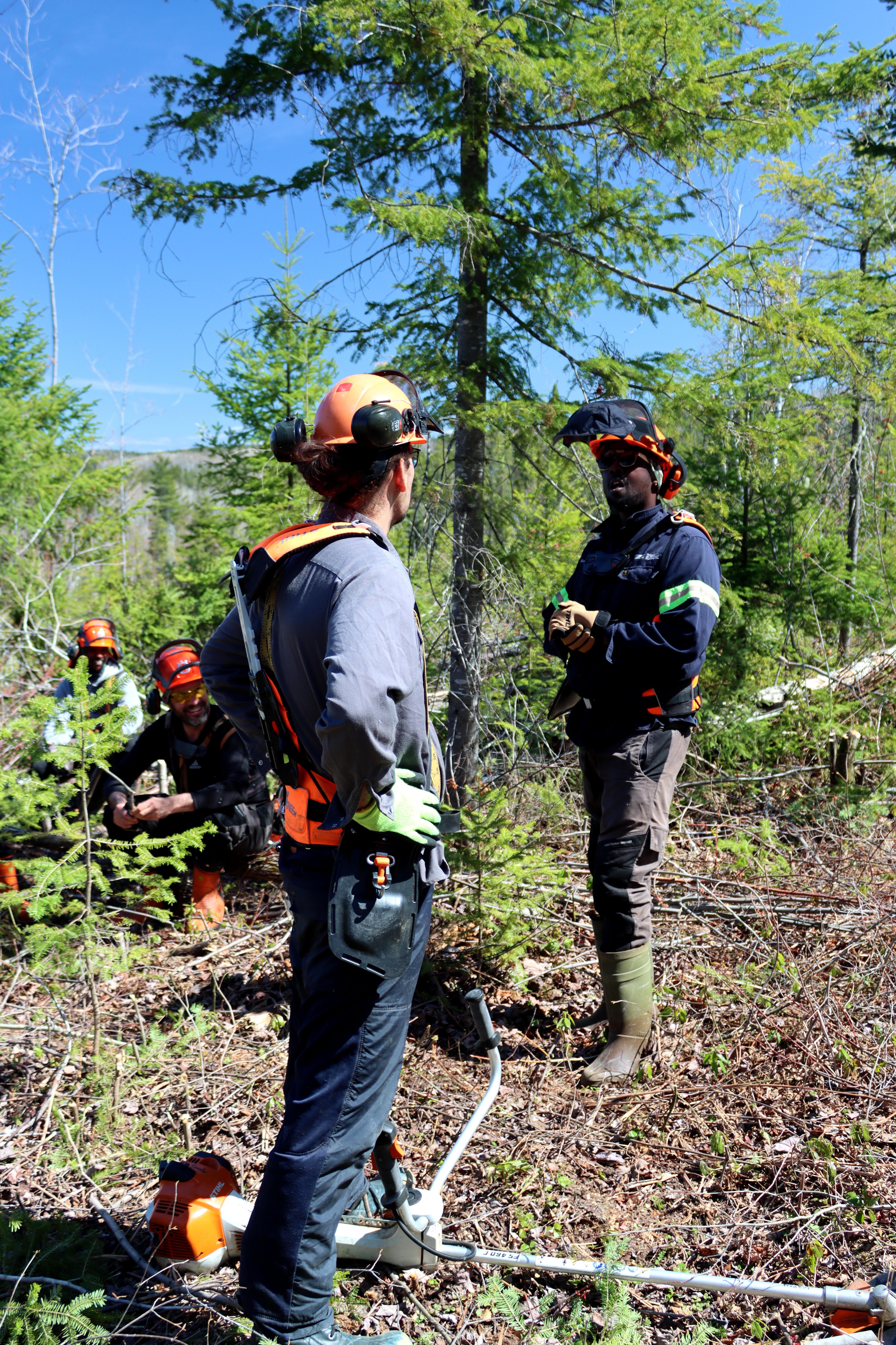 ForêtCompétences