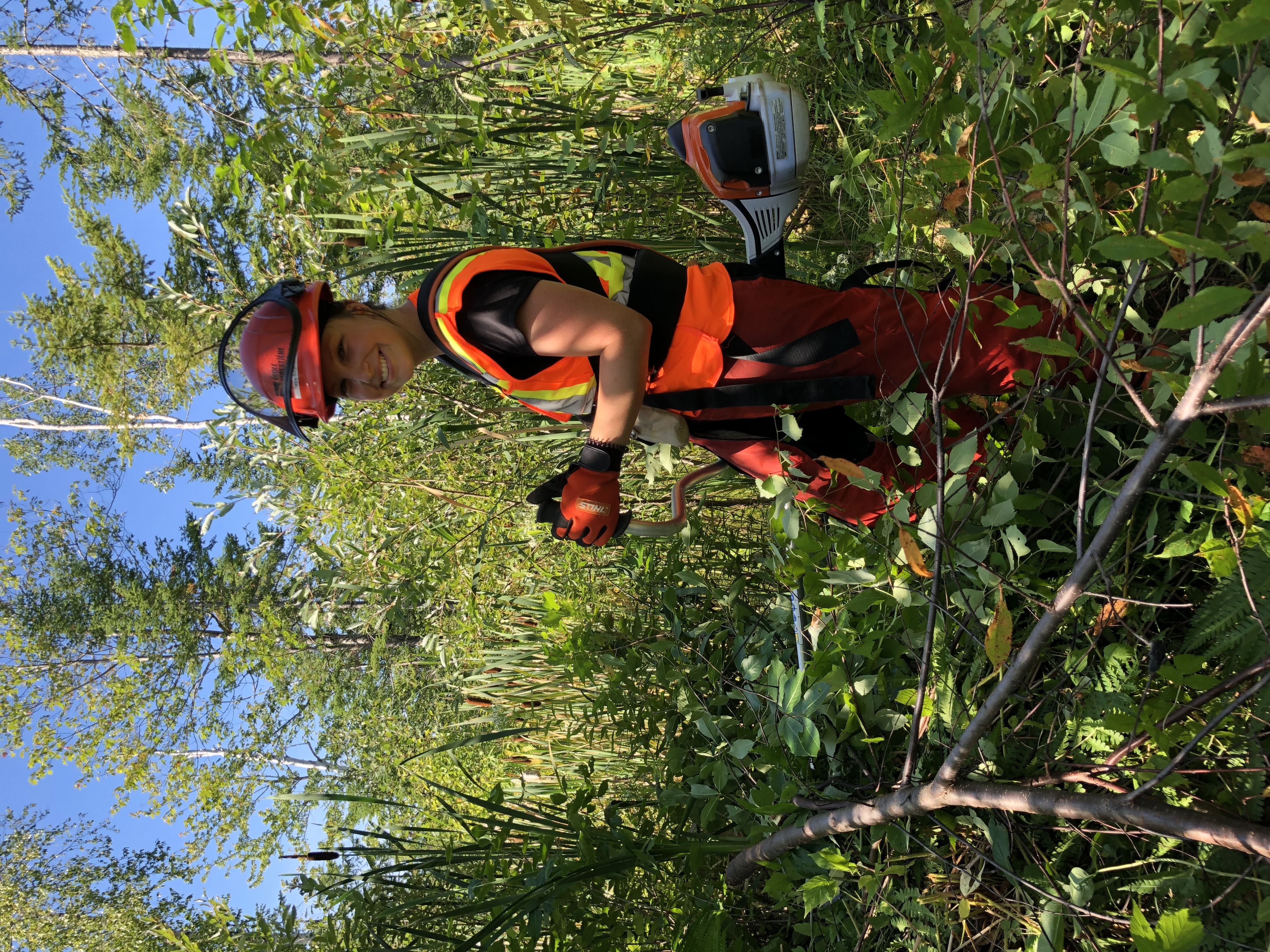 Image - ForêtCompétences