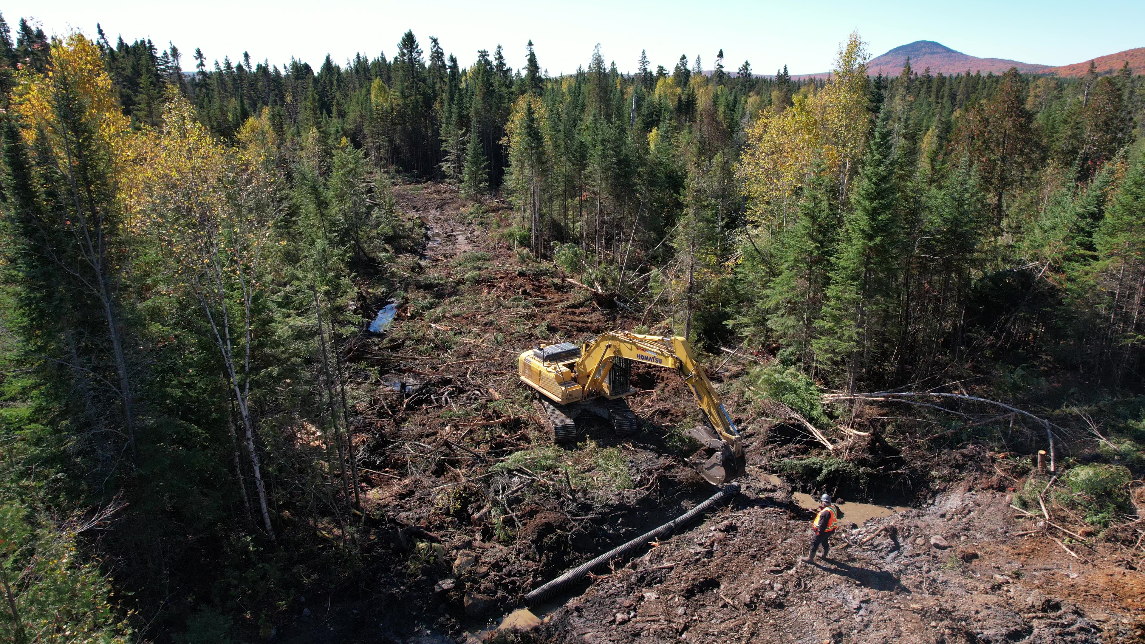ForêtCompétences
