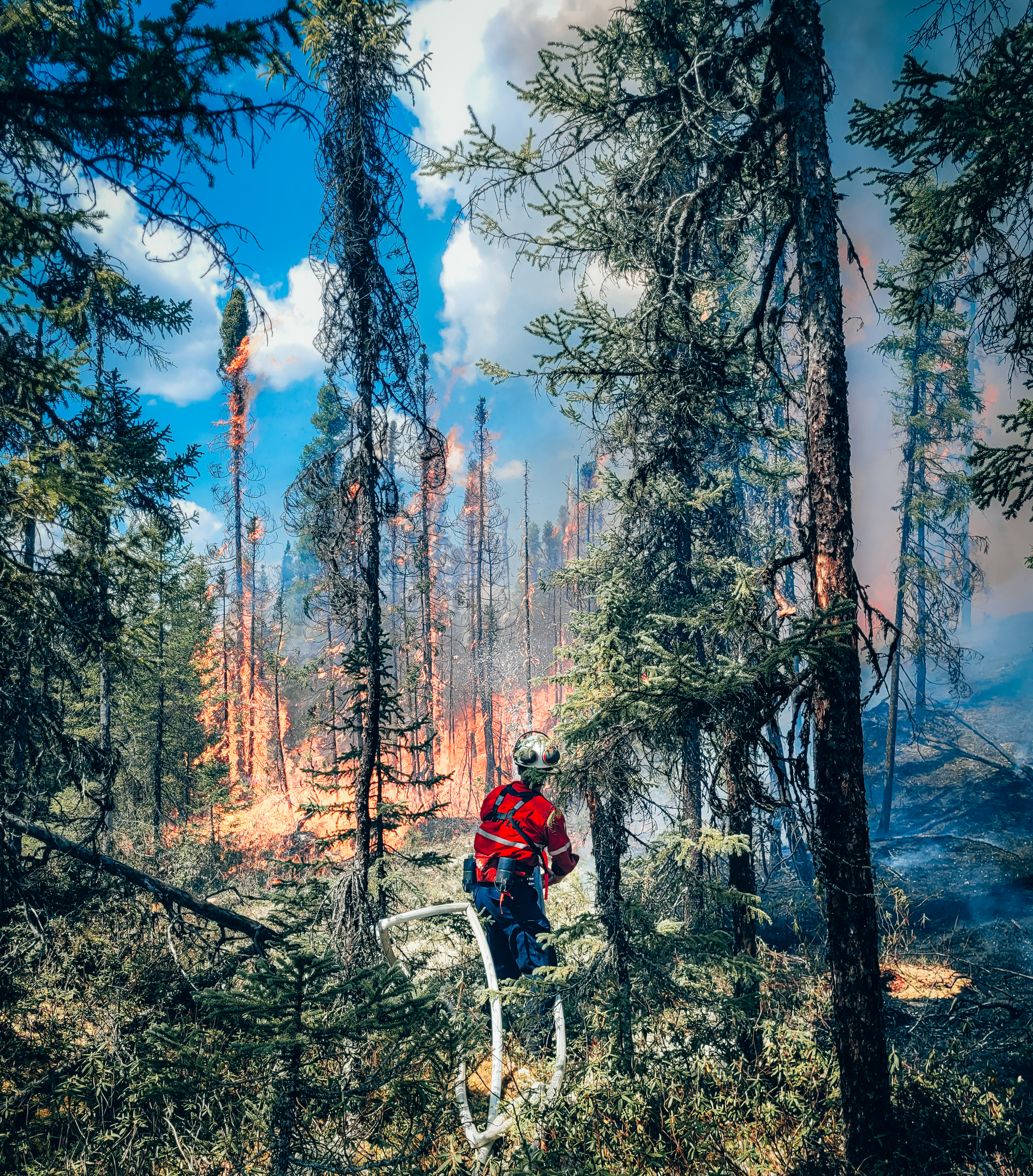 Image - ForêtCompétences